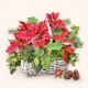 SERVILLETAS- Poinsettia In Basket