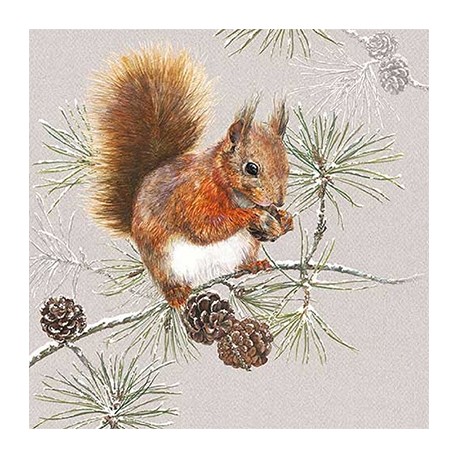 SERVILLETAS- Squirrel In Winter