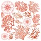 Vellum Coral Reef  Fussy Cut 6"x6" 6/Pkg