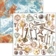 Coral Reef Fussy Cut Pad 6"x6" 24/Pkg