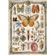 Rice Paper A5 MIXED 8/Pkg Cabinet of Curiosities