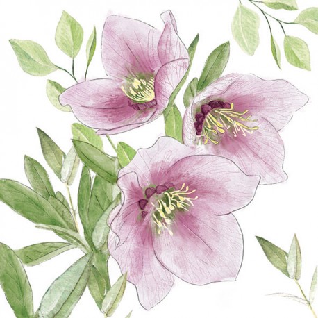 SERVILLETA CLASSIC HELLEBORUS